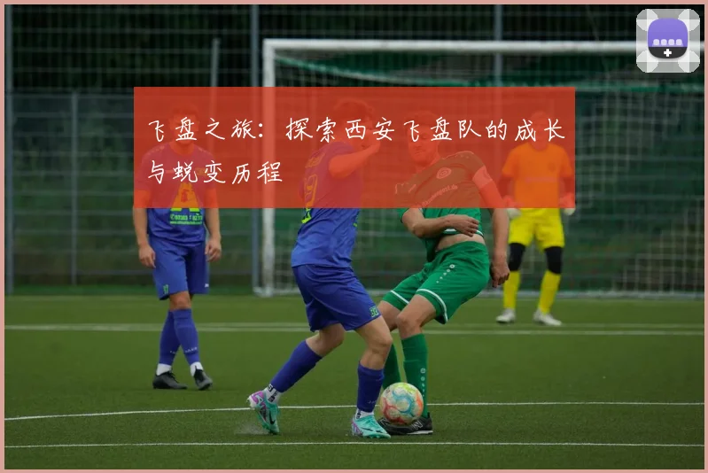 飞盘之旅：探索西安飞盘队的成长与蜕变历程