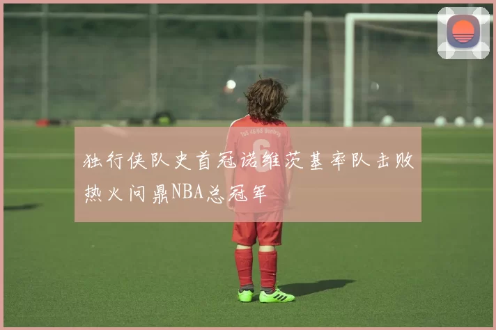 独行侠队史首冠诺维茨基率队击败热火问鼎NBA总冠军