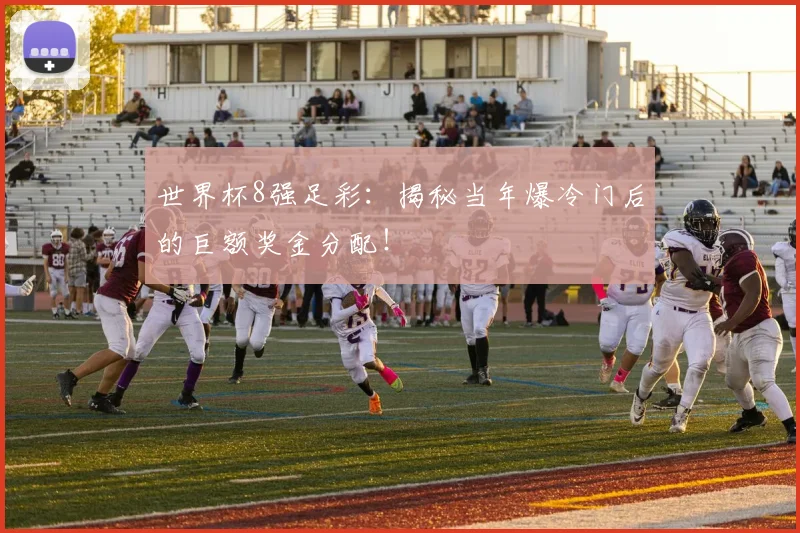 世界杯8强足彩：揭秘当年爆冷门后的巨额奖金分配！