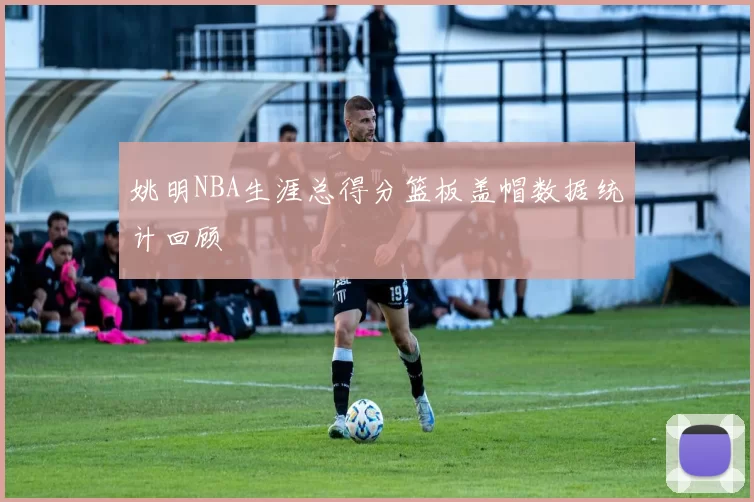 姚明NBA生涯总得分篮板盖帽数据统计回顾