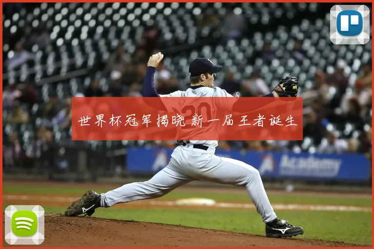 世界杯冠军揭晓 新一届王者诞生