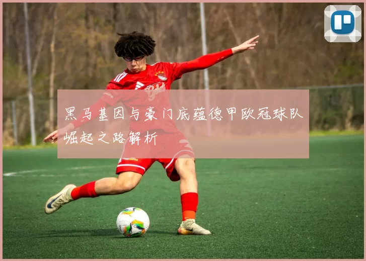 黑马基因与豪门底蕴德甲欧冠球队崛起之路解析