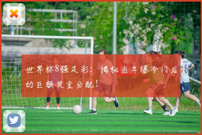 世界杯8强足彩：揭秘当年爆冷门后的巨额奖金分配！