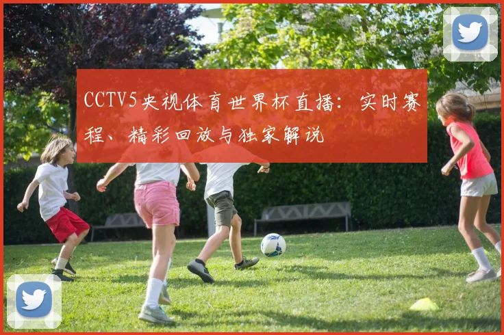CCTV5央视体育世界杯直播：实时赛程、精彩回放与独家解说
