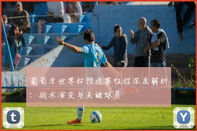 葡萄牙世界杯预选赛征程深度解析：战术演变与关键球员