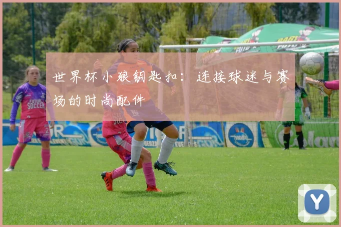 世界杯小狼钥匙扣：连接球迷与赛场的时尚配件