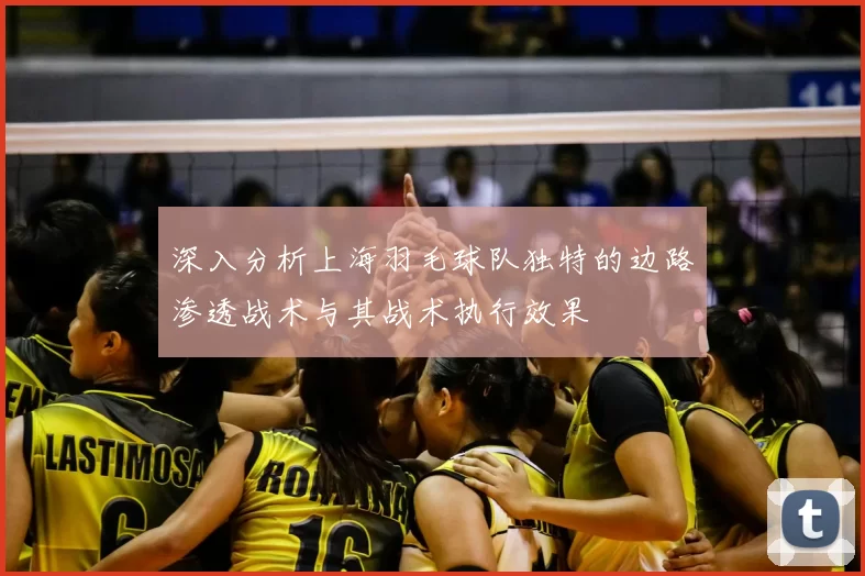 深入分析上海羽毛球队独特的边路渗透战术与其战术执行效果