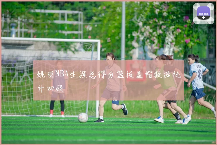 姚明NBA生涯总得分篮板盖帽数据统计回顾