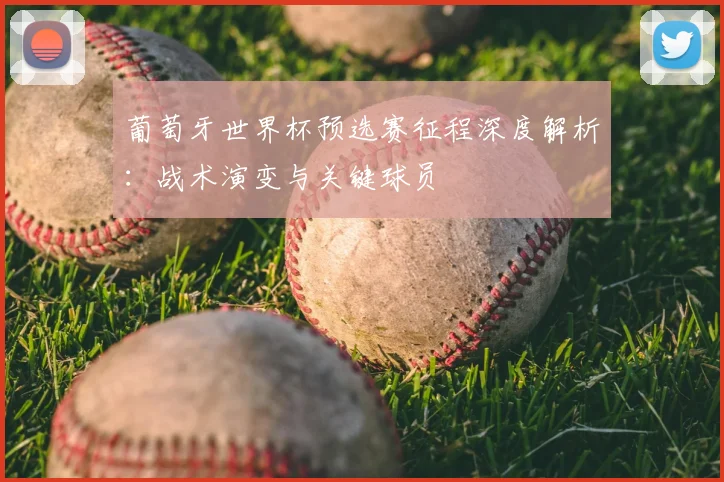 葡萄牙世界杯预选赛征程深度解析：战术演变与关键球员